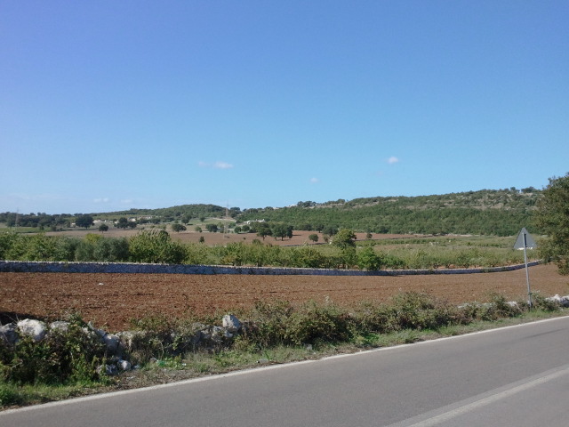 2012-09-20 15.10.38.jpg